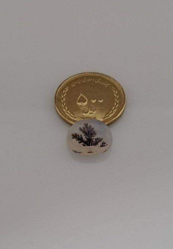 نگین عقیق شجر قائن، کد 714